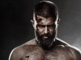 Kingdom Box Office