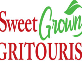 Sweet Grown Alabama Day Can This Stock be a Multigagger
