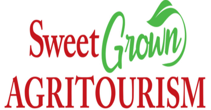 Sweet Grown Alabama Day Can This Stock be a Multigagger