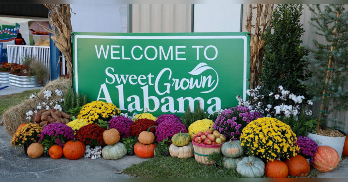 Sweet Grown Alabama Store
