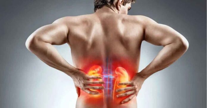 Chronic Kidney Disease and Kidney Damage Symptoms You Shouldn’t Ignore