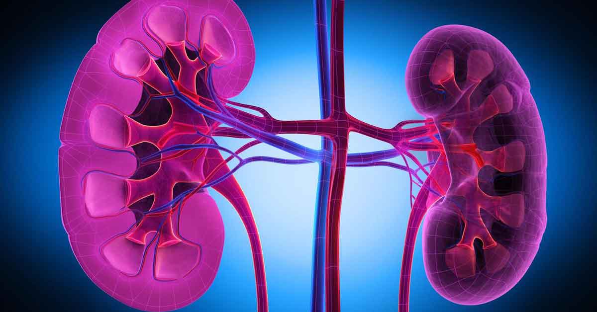 Chronic Kidney Disease and Kidney Damage Symptoms You Shouldn’t Ignore