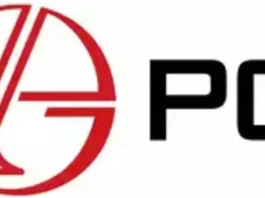 pg electroplast shares ncrash