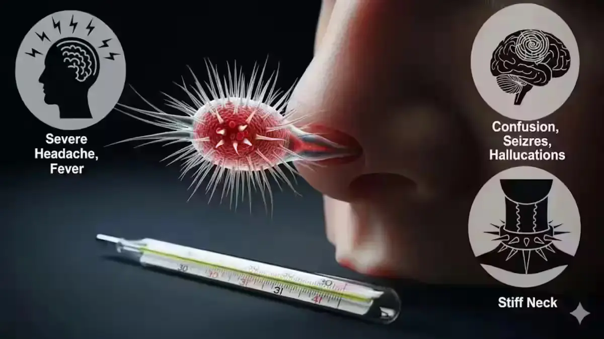 Causes and How It Spreads