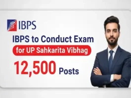 IBPS to Conduct Exam for UP Sahkarita Vibhag 12500 Posts