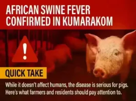 African Swine Fever