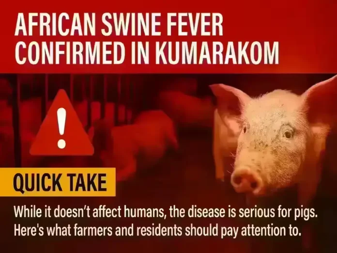 African Swine Fever
