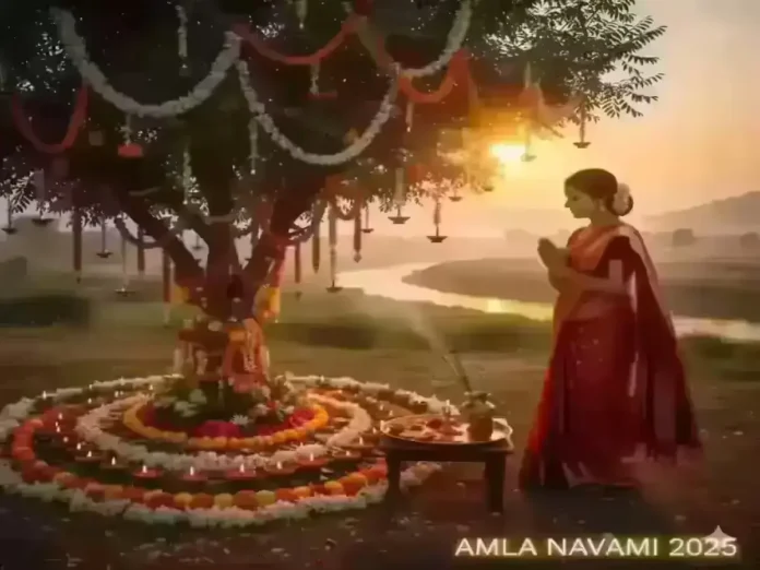 Amla Navami Amla Navami 2025 Puja