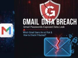Gmail Data Breach: Gmail Passwords Exposed Data Leak - Which Gmail Users Are at Risk & How to Check If Hacked?