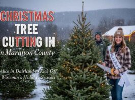 Christmas Tree Cutting in Marathon County: Alice in Dairyland to Kick Off Wisconsin’s Holiday Season