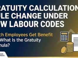 Gratuity Calculation Rule Change Under New Labour Codes: Which Employees Get Benefit and What Is the Gratuity Formula?