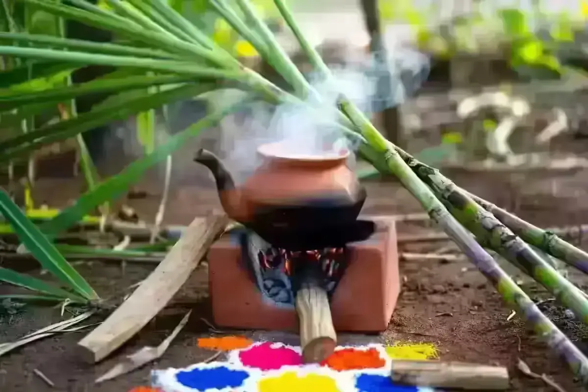 Pongal festival traditional pot boiling over